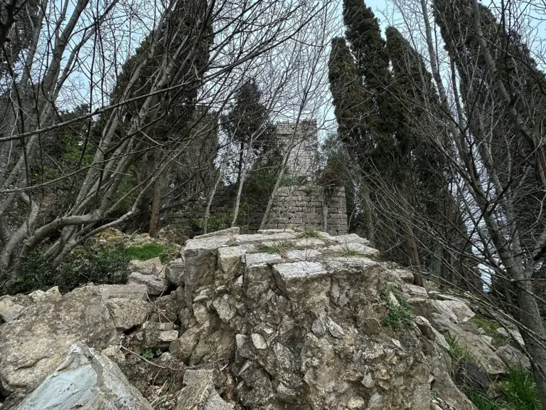 Castello di Monteloro 8