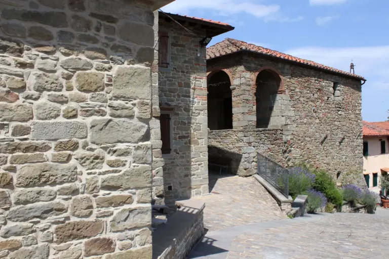 Castel Leone - Montemignaio 9