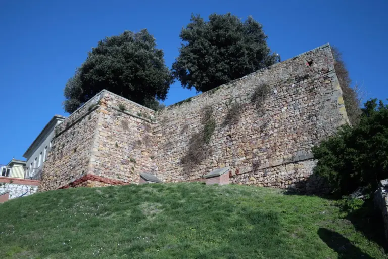 Mura di Montepescali 11