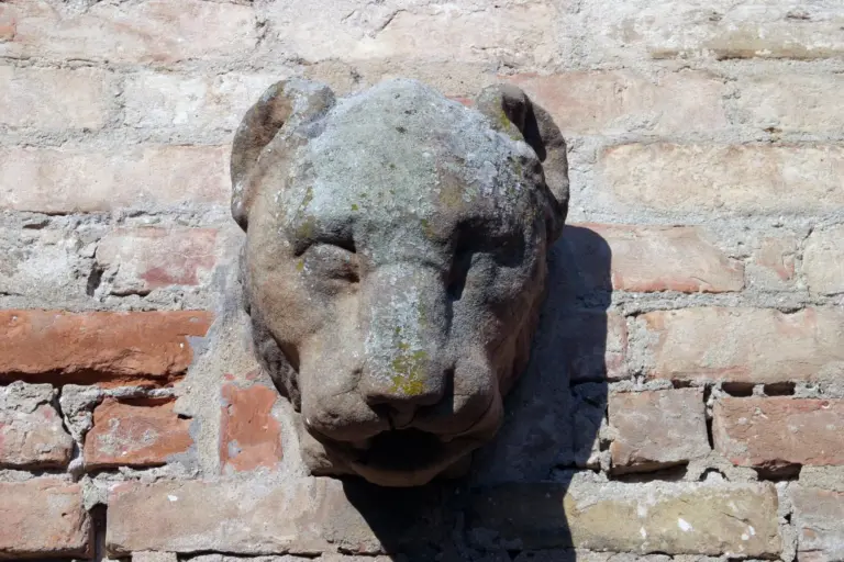 Castello di Oliveto 8