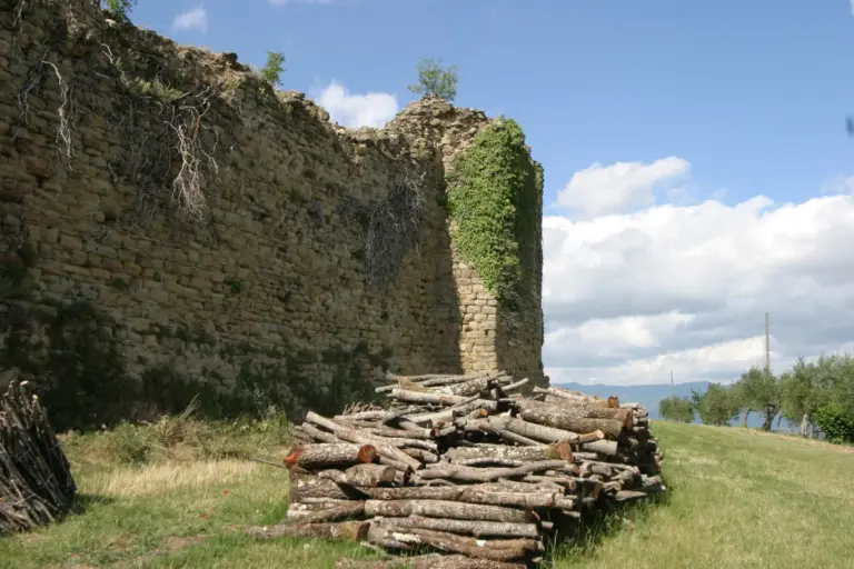 Castello di Pianettole 6
