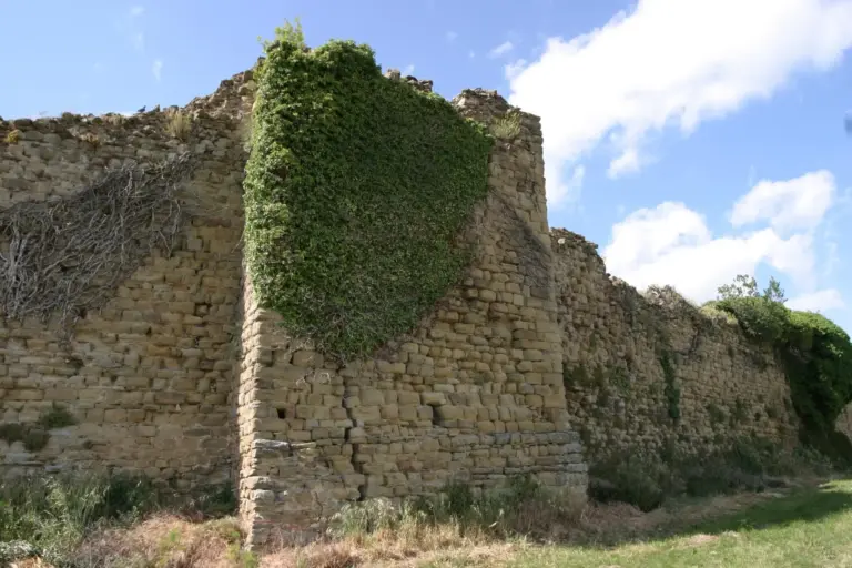 Castello di Pianettole 7
