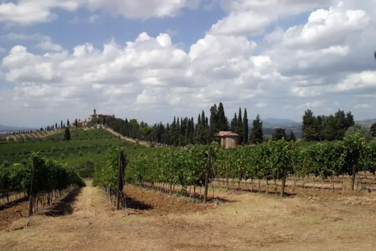 Castello di Poggio alle Mura - Castello Banfi 14