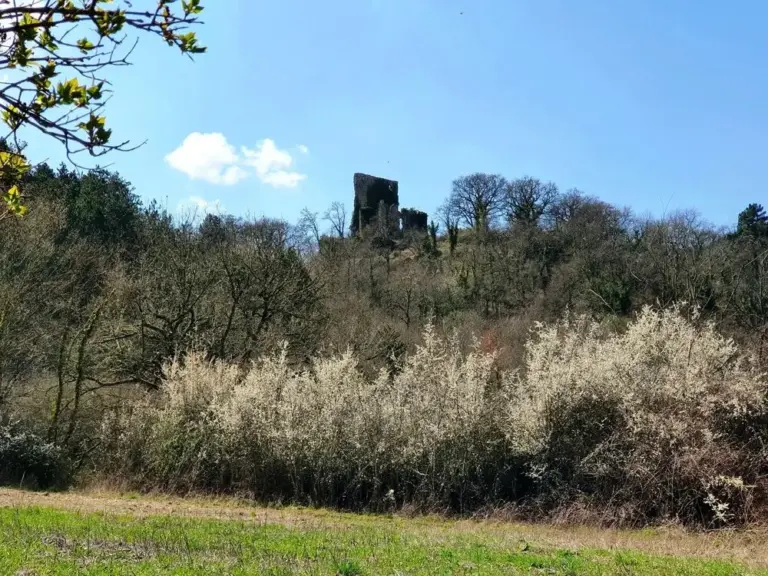Castello di Ranco 2