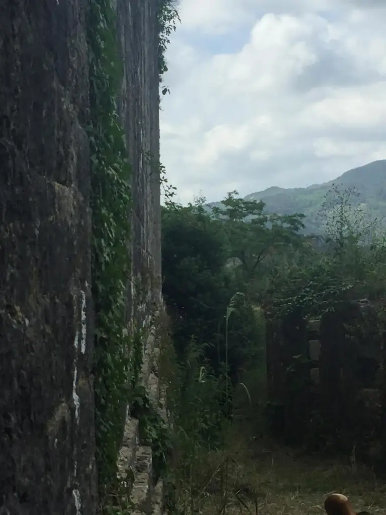 Rocca di San Paolino - Ripafratta 12
