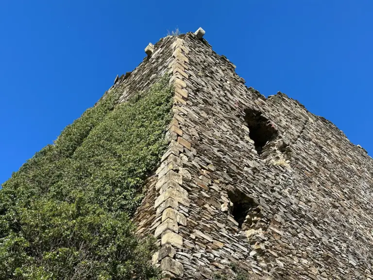 Roccaccia di Montauto 2
