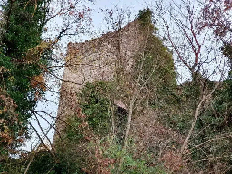 Castello di Rondine 6