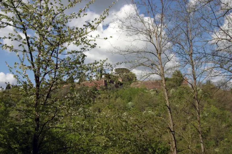 Fortezza di San Martino - S.Piero a Sieve 6