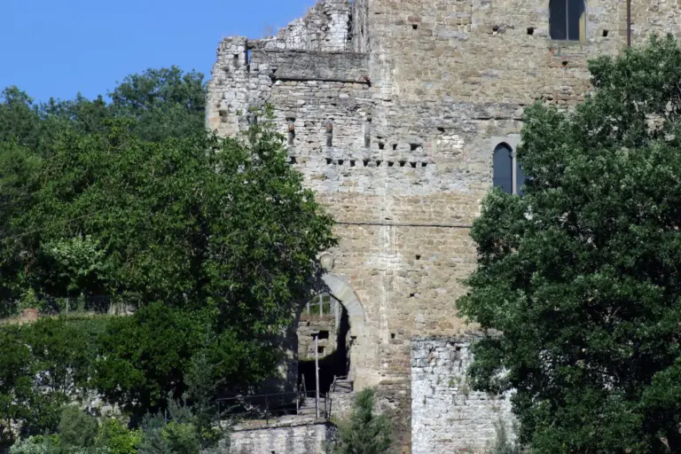 Castel San Niccolò 4