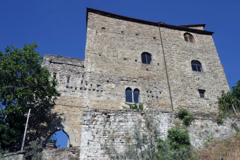 Castel San Niccolò 8