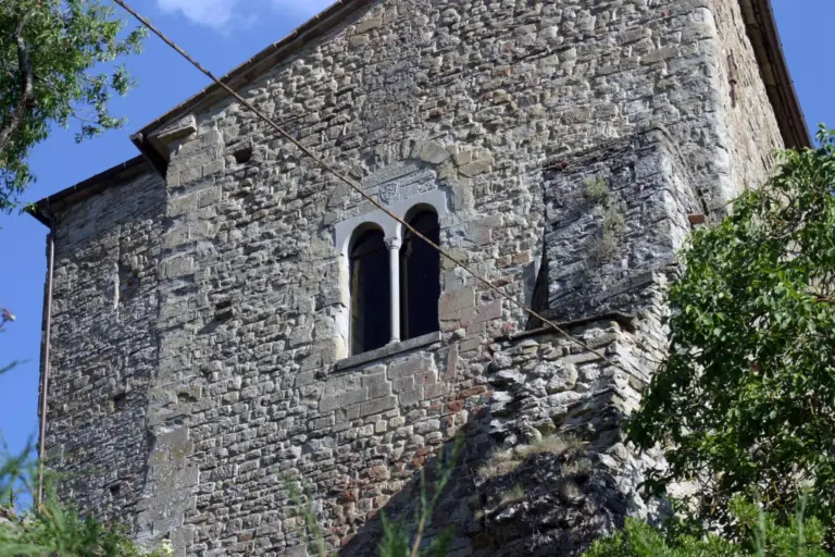 Castel San Niccolò 13