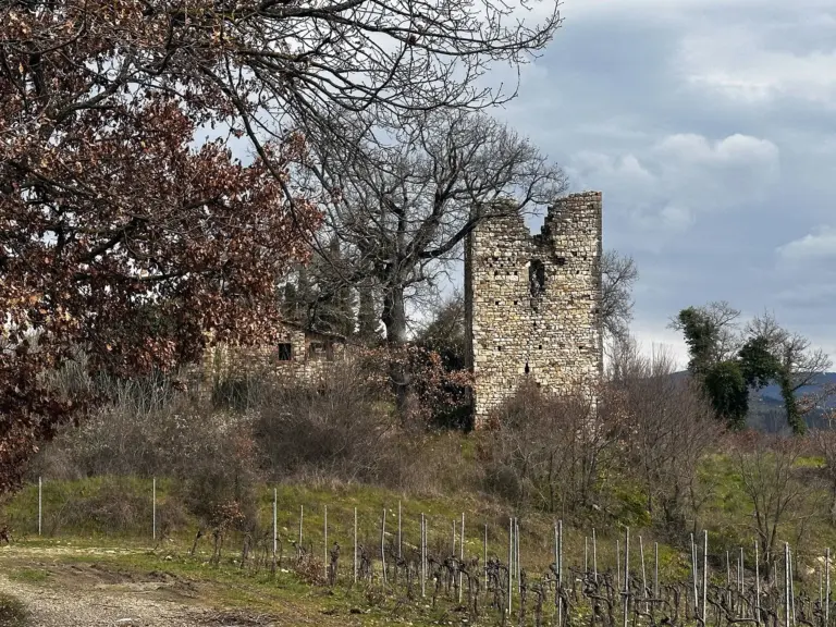 San Polo di Torre 1