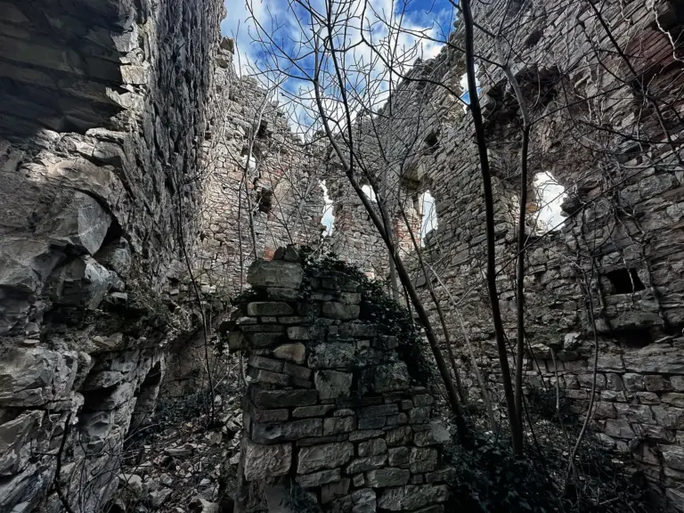San Polo di Torre 6