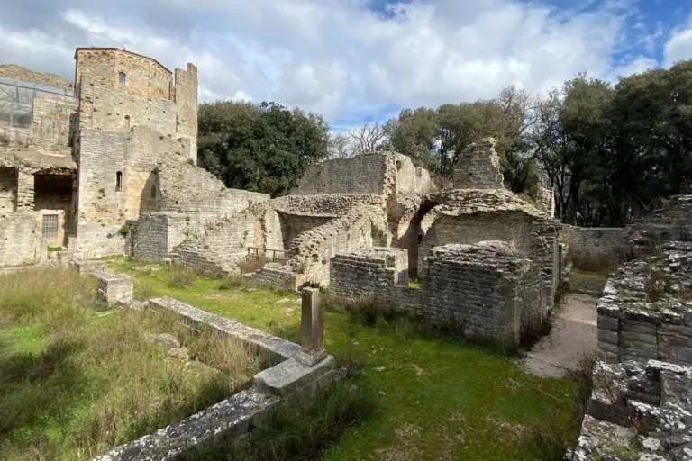 Abbazia di San Rabano e Torre dell'Uccellina 6