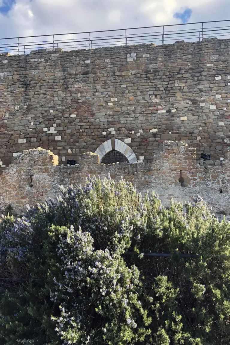 Rocca Pisana - Scarlino 11