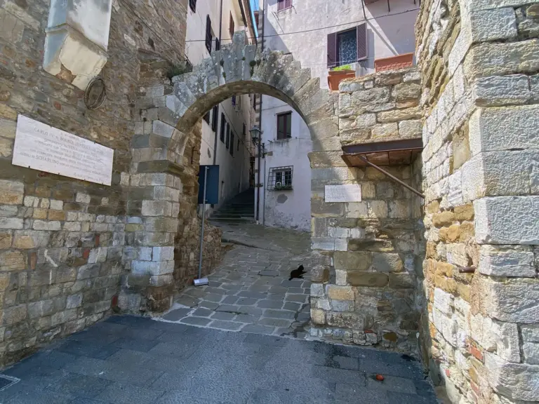 Rocca Pisana - Scarlino 17