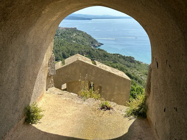 Forte Stella 9