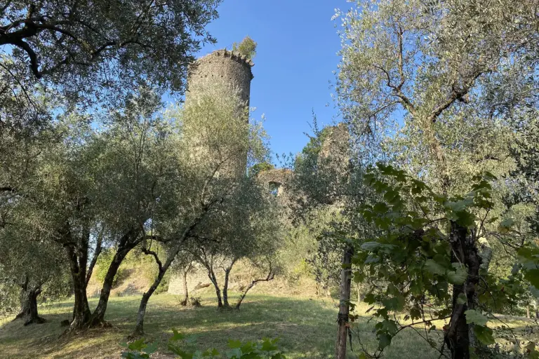 Castello di Treschietto 2
