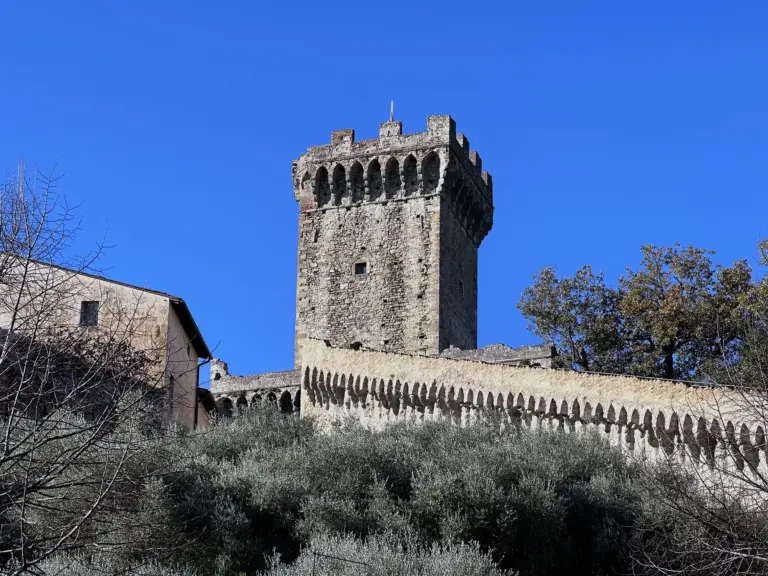 Rocca e Mura di Vicopisano 2