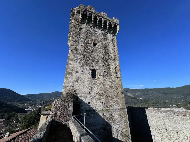 Rocca e Mura di Vicopisano 7