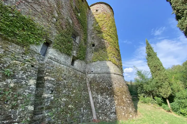 Castello di Villa di Tresana 7